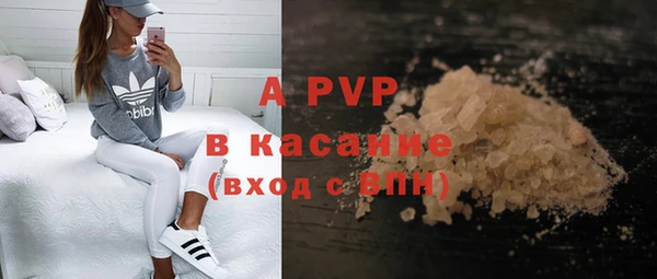 PSILOCYBIN Козловка