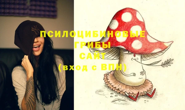 экстази Козельск