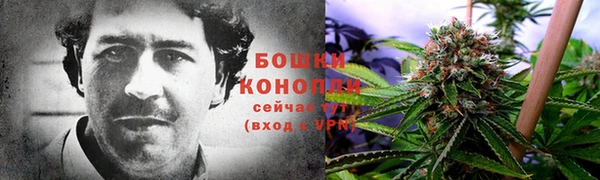 PSILOCYBIN Козловка
