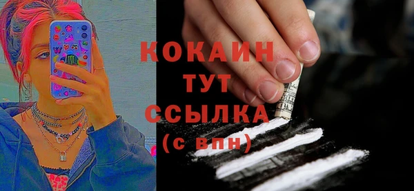 PSILOCYBIN Козловка