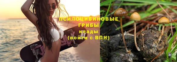 PSILOCYBIN Козловка