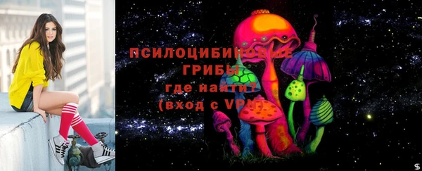 экстази Козельск