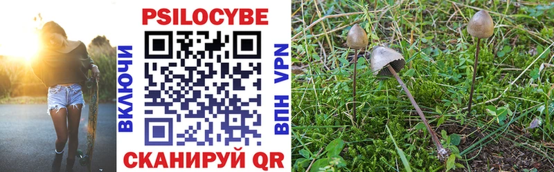 Галлюциногенные грибы Cubensis  Купить закладки  Карабулак 